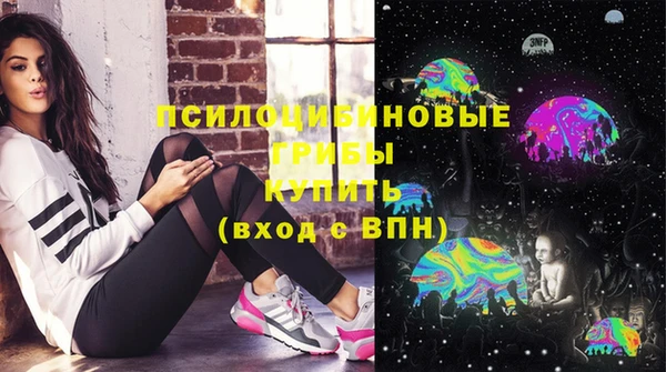 крисы Новозыбков