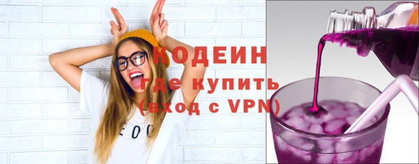 крисы Новозыбков