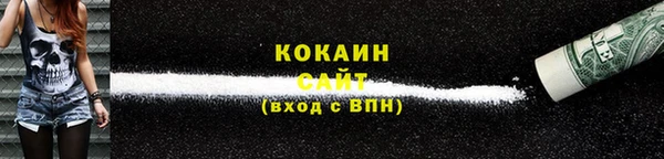 крисы Новозыбков