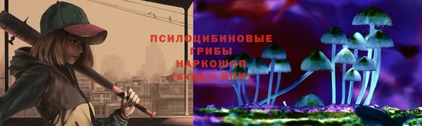 крисы Новозыбков