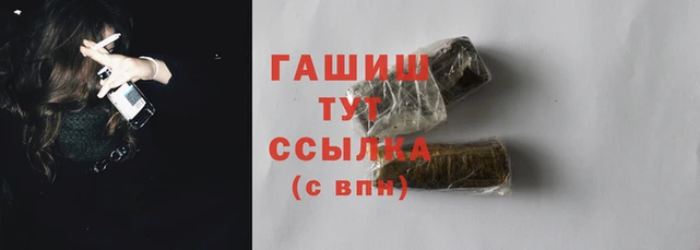 СК Новодвинск