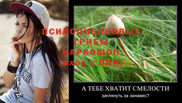 СК Новодвинск