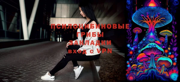 крисы Новозыбков
