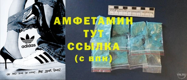 крисы Новозыбков