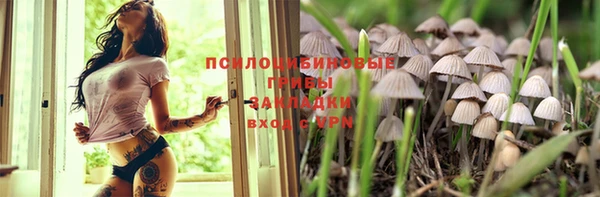 СК Новодвинск